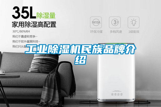 工業(yè)除濕機民族品牌介紹