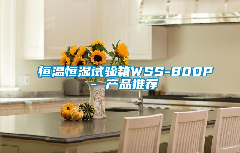 恒溫恒濕試驗箱WSS-800P - 產(chǎn)品推薦
