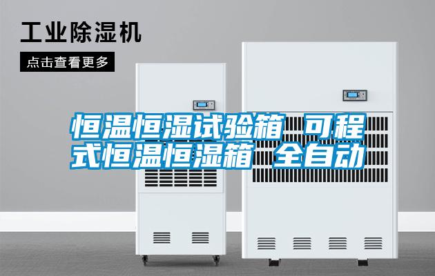 恒溫恒濕試驗箱 可程式恒溫恒濕箱 全自動