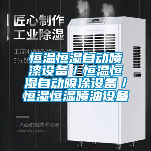 恒溫恒濕自動噴漆設備/恒溫恒濕自動噴涂設備/恒濕恒濕噴油設備