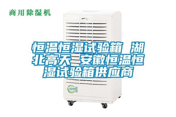 恒溫恒濕試驗箱 湖北高天 安徽恒溫恒濕試驗箱供應商
