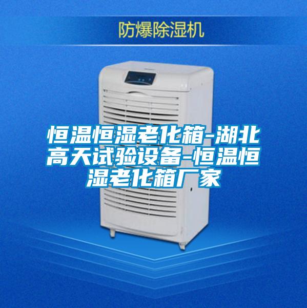 恒溫恒濕老化箱-湖北高天試驗設備-恒溫恒濕老化箱廠家