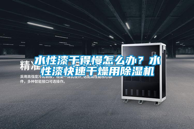 水性漆干得慢怎么辦？水性漆快速干燥用除濕機