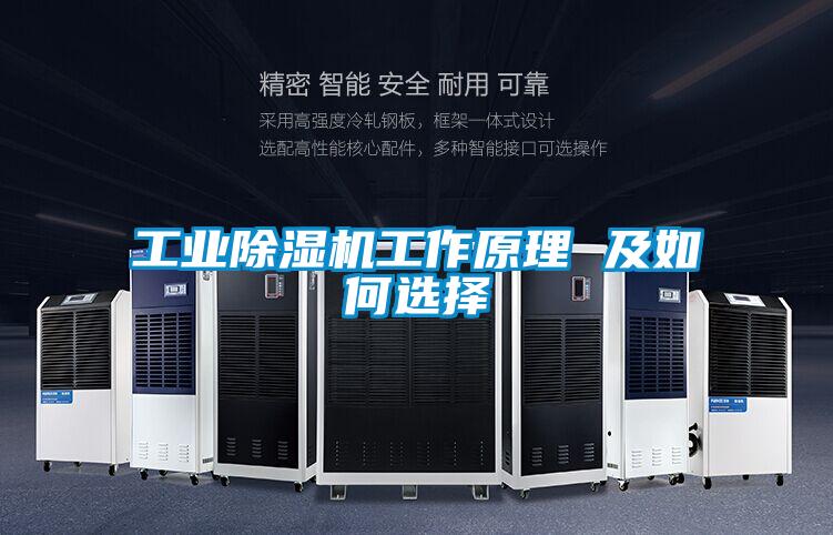 工業除濕機工作原理 及如何選擇