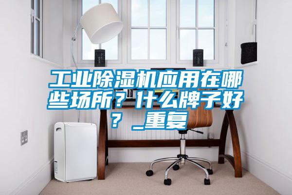 工業(yè)除濕機(jī)應(yīng)用在哪些場所？什么牌子好？_重復(fù)