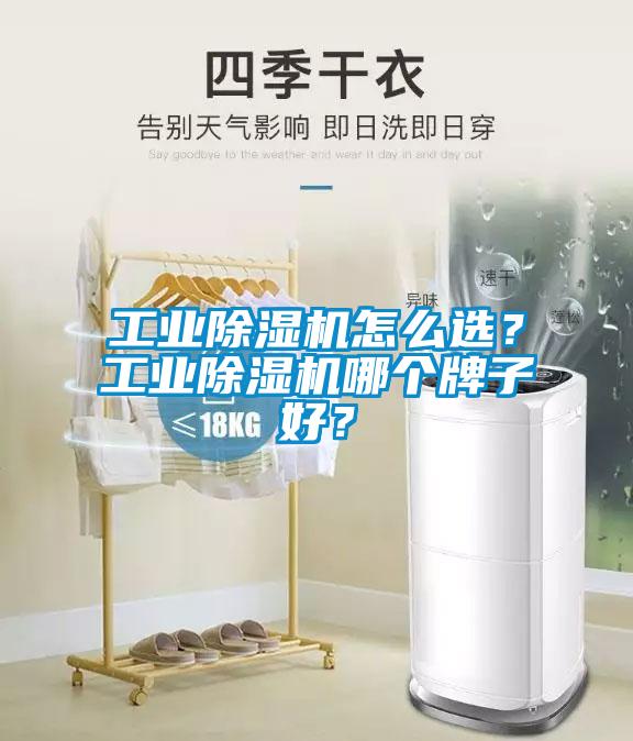 工業(yè)除濕機怎么選？工業(yè)除濕機哪個牌子好？