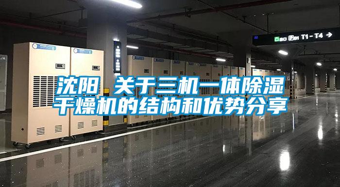沈陽(yáng) 關(guān)于三機(jī)一體除濕干燥機(jī)的結(jié)構(gòu)和優(yōu)勢(shì)分享