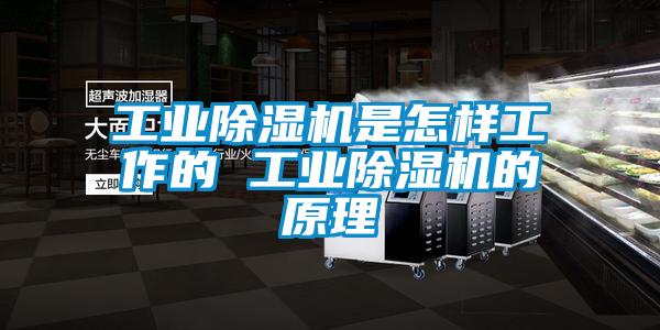 工業(yè)除濕機是怎樣工作的 工業(yè)除濕機的原理