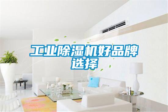 工業(yè)除濕機好品牌選擇