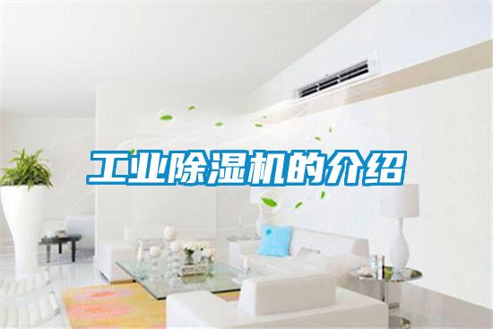 工業除濕機的介紹
