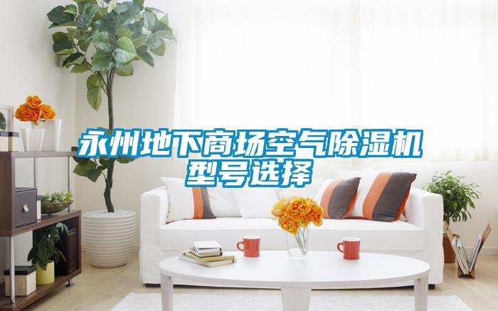 永州地下商場(chǎng)空氣除濕機(jī)型號(hào)選擇