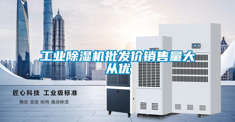 工業(yè)除濕機(jī)批發(fā)價銷售量大從優(yōu)