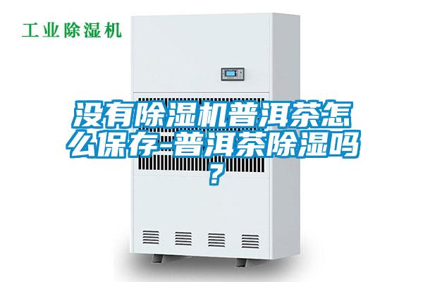 沒有除濕機普洱茶怎么保存-普洱茶除濕嗎？