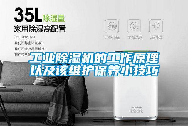 工業除濕機的工作原理以及該維護保養小技巧