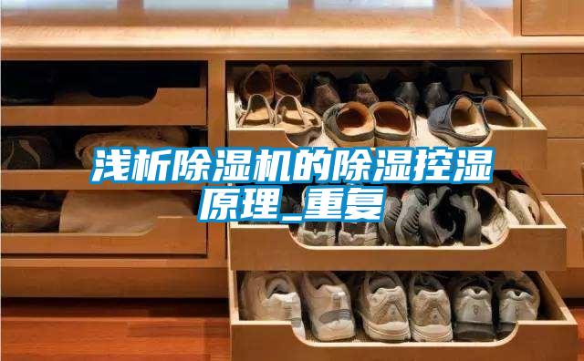 淺析除濕機(jī)的除濕控濕原理_重復(fù)
