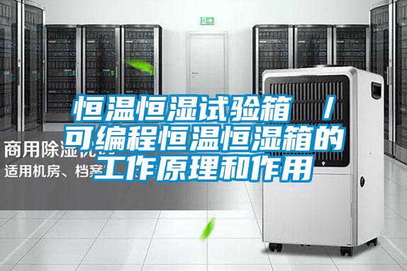 恒溫恒濕試驗箱 /可編程恒溫恒濕箱的工作原理和作用