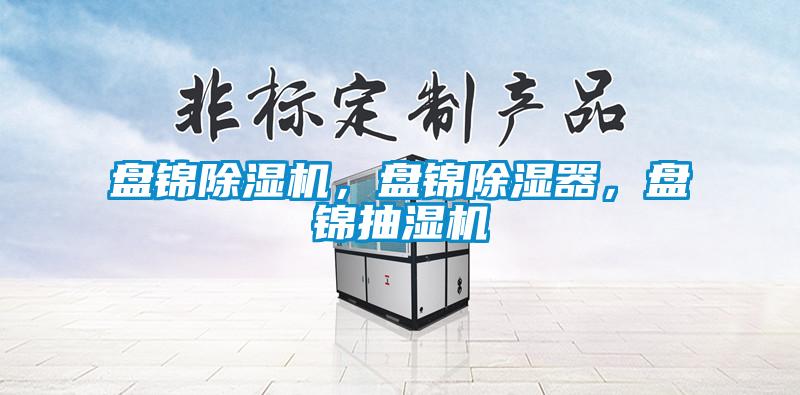 盤錦除濕機，盤錦除濕器，盤錦抽濕機
