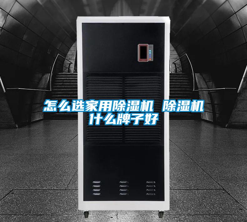 怎么選家用除濕機 除濕機什么牌子好