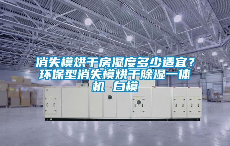 消失模烘干房濕度多少適宜？環保型消失模烘干除濕一體機 白模