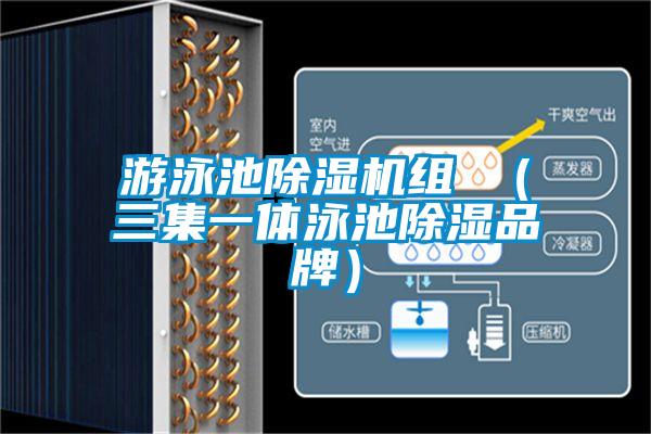 游泳池除濕機(jī)組 (三集一體泳池除濕品牌)