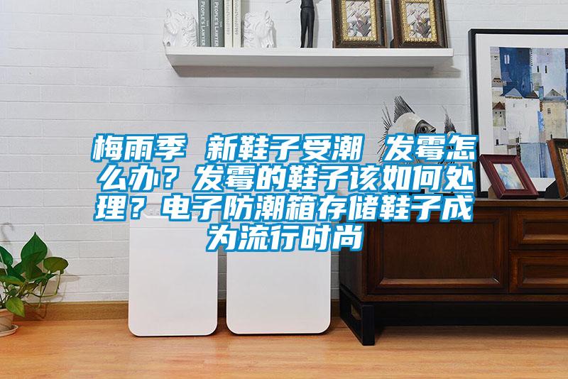 梅雨季 新鞋子受潮 發(fā)霉怎么辦？發(fā)霉的鞋子該如何處理？電子防潮箱存儲(chǔ)鞋子成為流行時(shí)尚