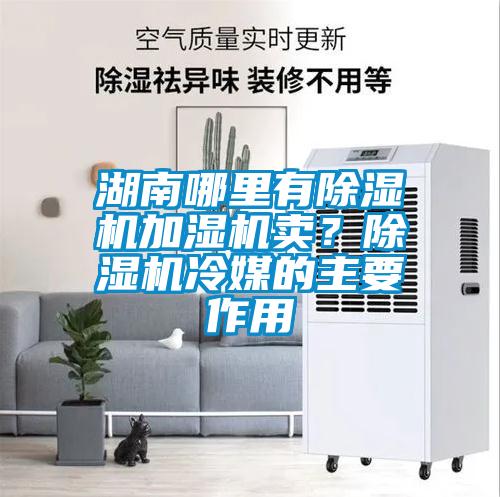湖南哪里有除濕機(jī)加濕機(jī)賣？除濕機(jī)冷媒的主要作用