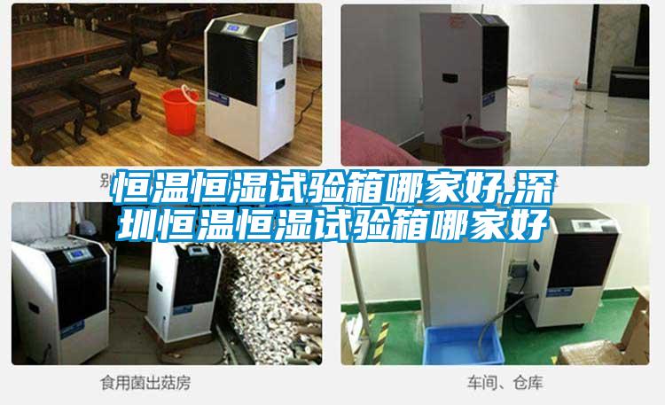 恒溫恒濕試驗(yàn)箱哪家好,深圳恒溫恒濕試驗(yàn)箱哪家好