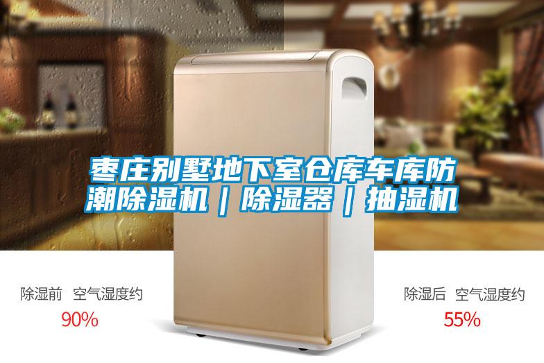棗莊別墅地下室倉庫車庫防潮除濕機｜除濕器｜抽濕機