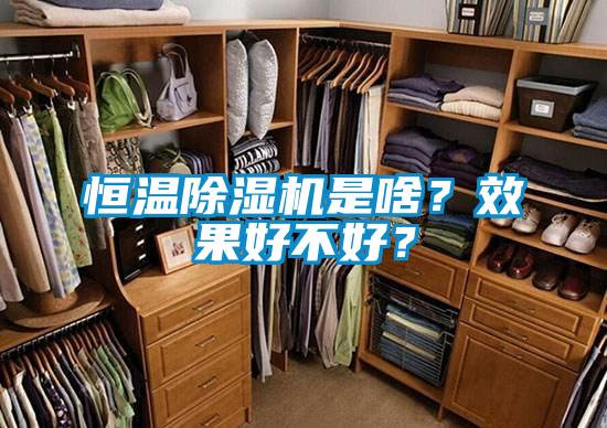恒溫除濕機(jī)是啥？效果好不好？