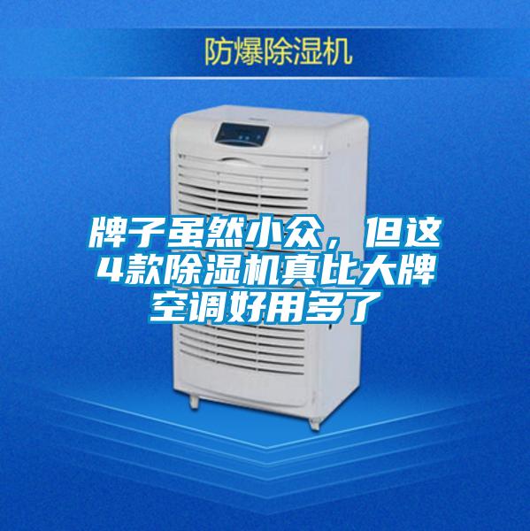 牌子雖然小眾，但這4款除濕機真比大牌空調(diào)好用多了