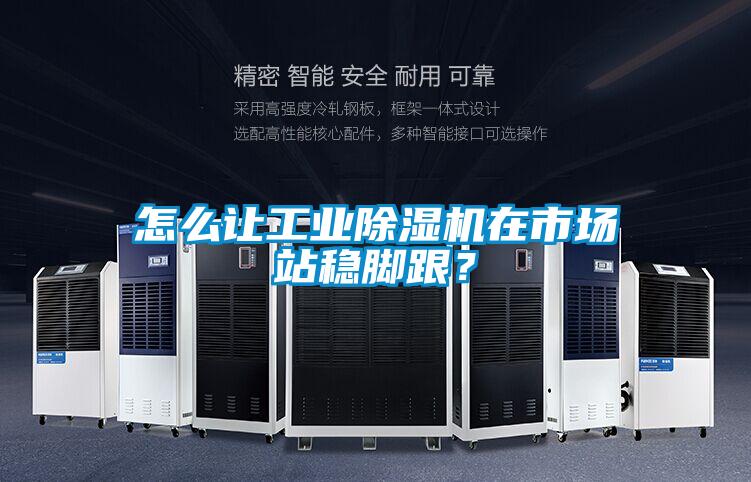 怎么讓工業(yè)除濕機(jī)在市場站穩(wěn)腳跟？