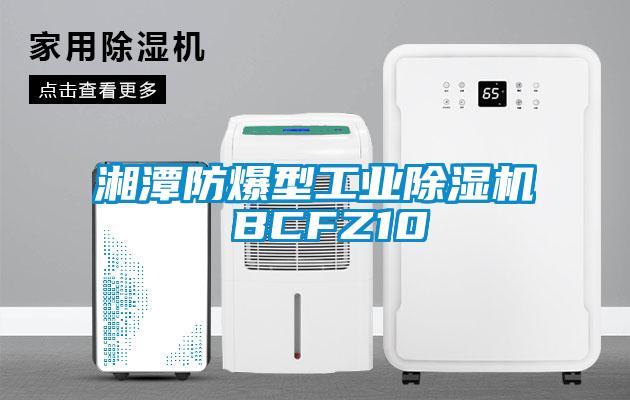 湘潭防爆型工業除濕機 BCFZ10