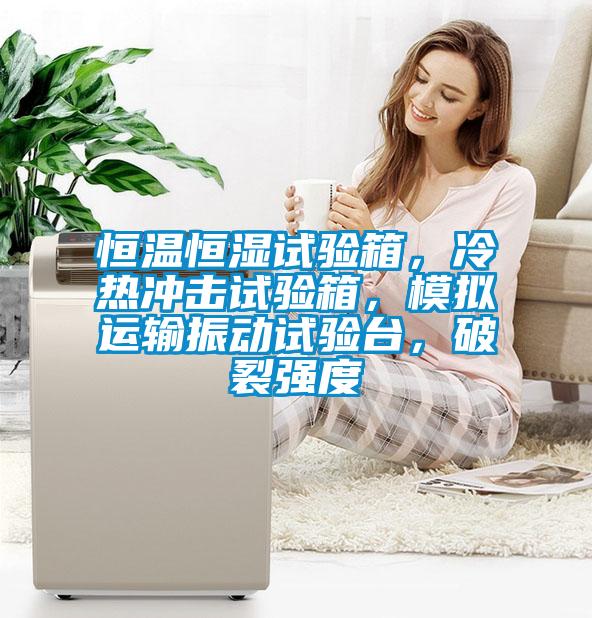 恒溫恒濕試驗箱，冷熱沖擊試驗箱，模擬運輸振動試驗臺，破裂強度