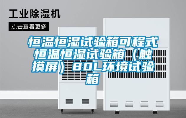恒溫恒濕試驗箱可程式恒溫恒濕試驗箱(觸摸屏)80L環境試驗箱