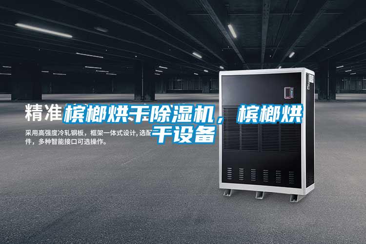 檳榔烘干除濕機(jī)，檳榔烘干設(shè)備