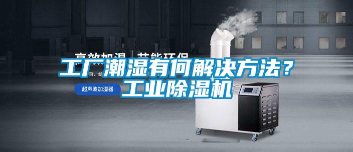 工廠潮濕有何解決方法？工業除濕機