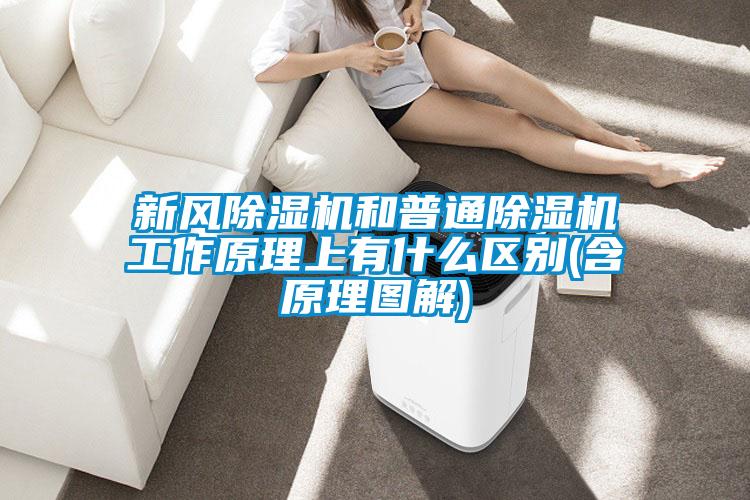 新風(fēng)除濕機(jī)和普通除濕機(jī)工作原理上有什么區(qū)別(含原理圖解)
