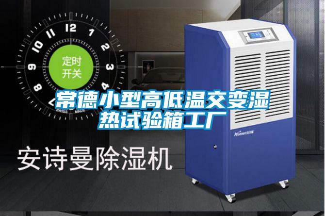 常德小型高低溫交變濕熱試驗箱工廠