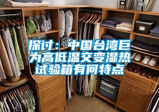探討：中國臺灣巨為高低溫交變濕熱試驗(yàn)箱有何特點(diǎn)