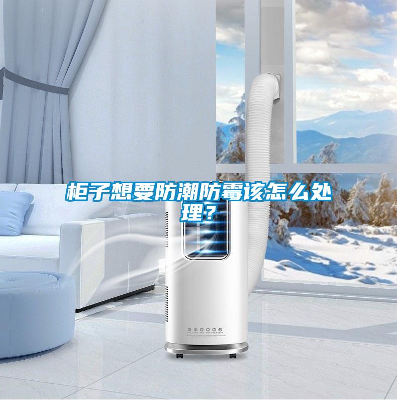 柜子想要防潮防霉該怎么處理？