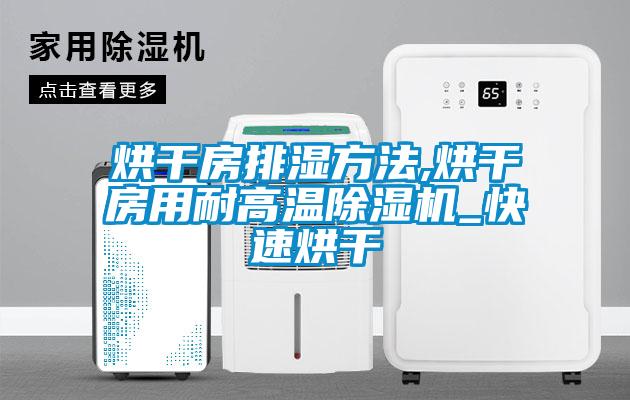 烘干房排濕方法,烘干房用耐高溫除濕機_快速烘干