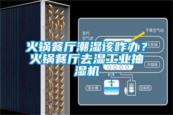 火鍋餐廳潮濕該咋辦？火鍋餐廳去濕工業(yè)抽濕機(jī)