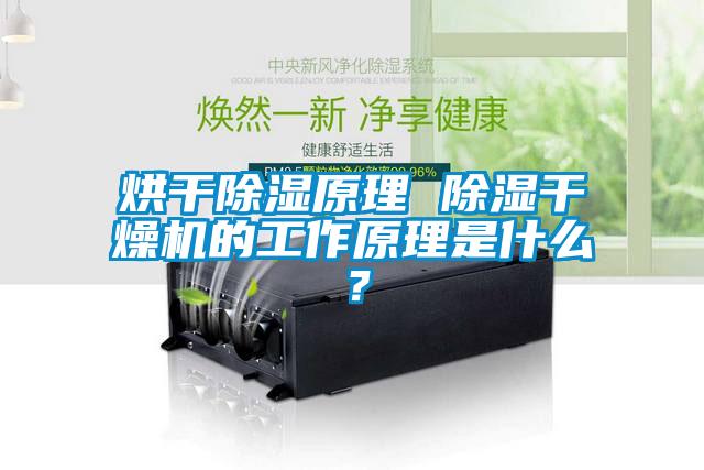 烘干除濕原理 除濕干燥機的工作原理是什么？