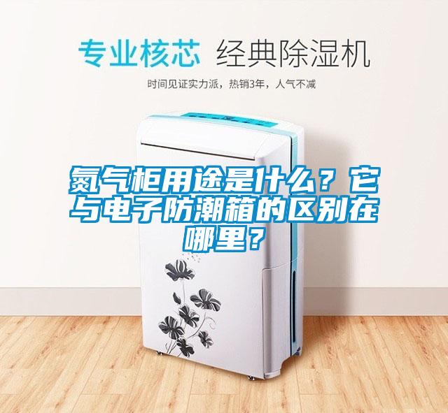 氮氣柜用途是什么？它與電子防潮箱的區別在哪里？