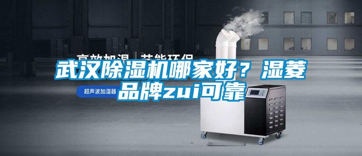 武漢除濕機哪家好？濕菱品牌zui可靠