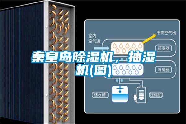 秦皇島除濕機，抽濕機(圖)