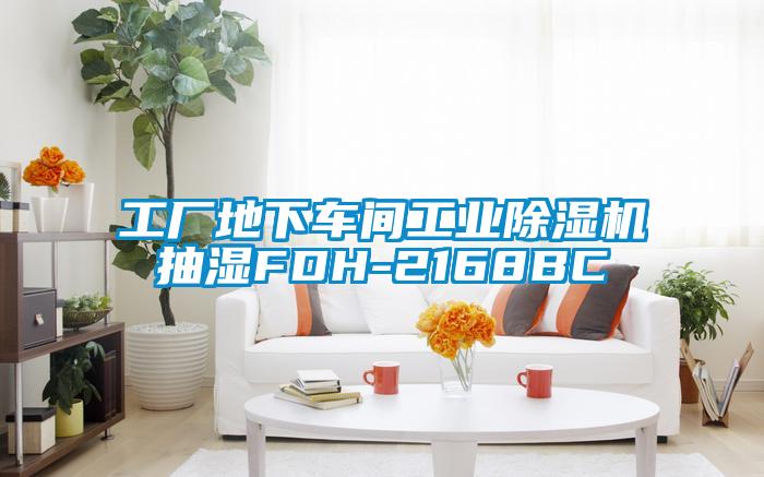 工廠地下車間工業除濕機抽濕FDH-2168BC