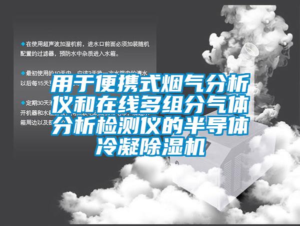 用于便攜式煙氣分析儀和在線多組分氣體分析檢測儀的半導體冷凝除濕機