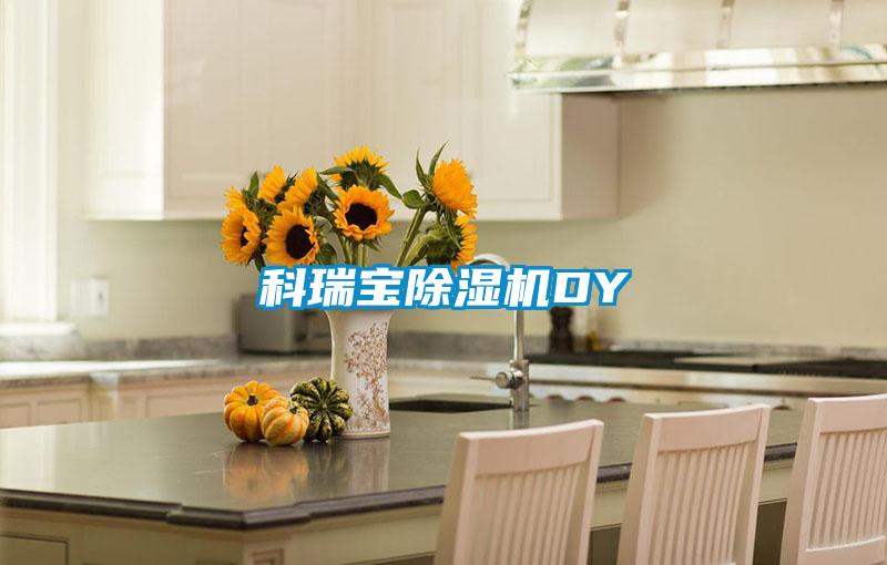 科瑞寶除濕機DY