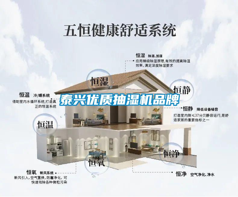泰興優(yōu)質(zhì)抽濕機品牌